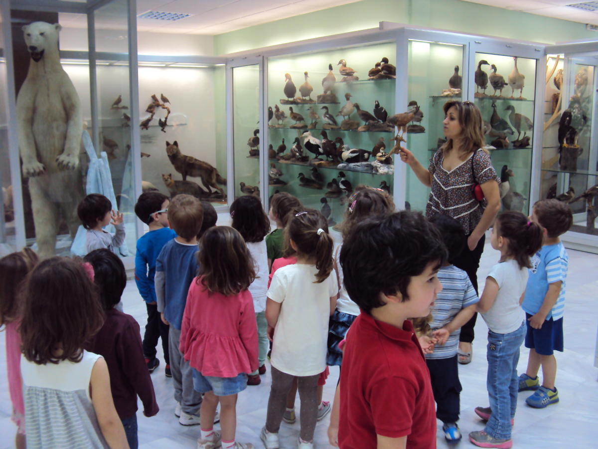 Παιδικός σταθμός και νηπιαγωγείο - Χαμόγελο - Βριλήσσια