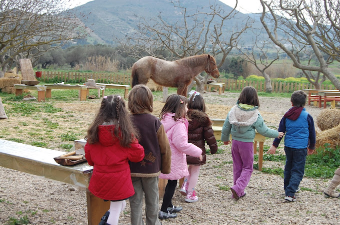 Παιδικός σταθμός και νηπιαγωγείο - ο Μικρός Πρίγκιπας - Αργυρούπολη
