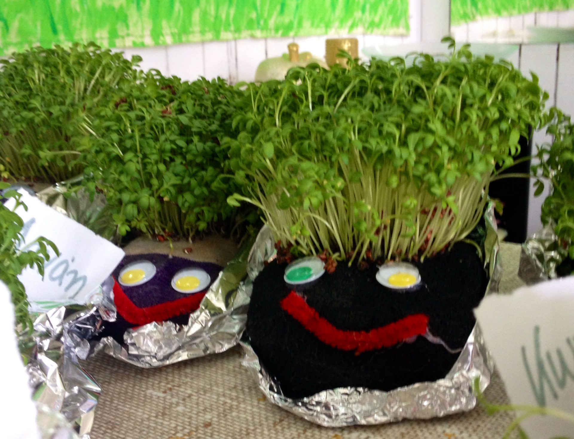 Παιδικός σταθμός και νηπιαγωγείο - "μικρές πατούσες" - Άλιμος