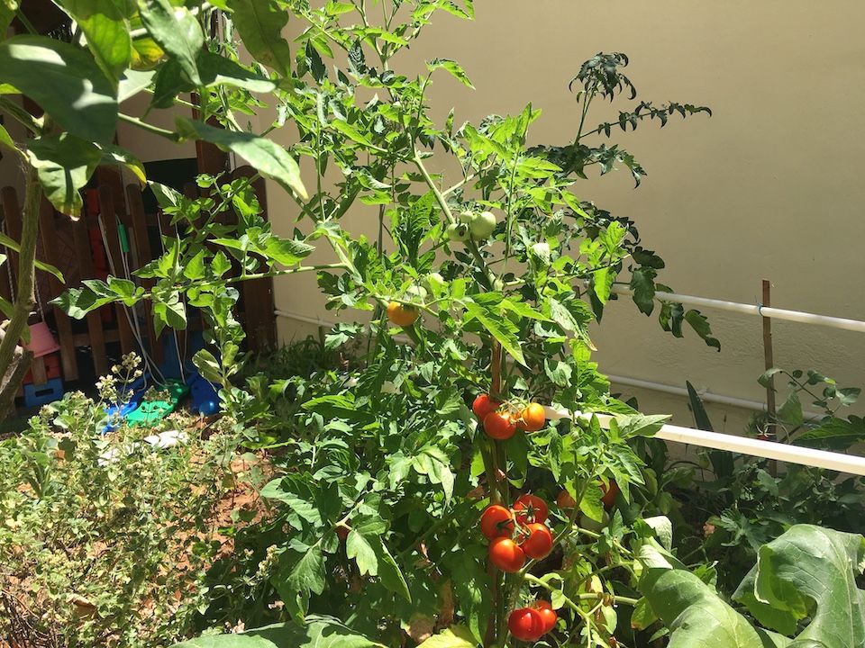 Παιδικός σταθμός και νηπιαγωγείο - “ΦΩΤΕΙΝΗ” - Άλιμος